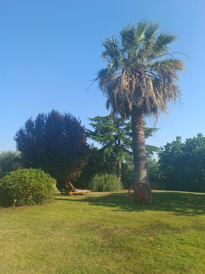 Apartments Karpetis A Green Paradise Psakoudia Extérieur photo