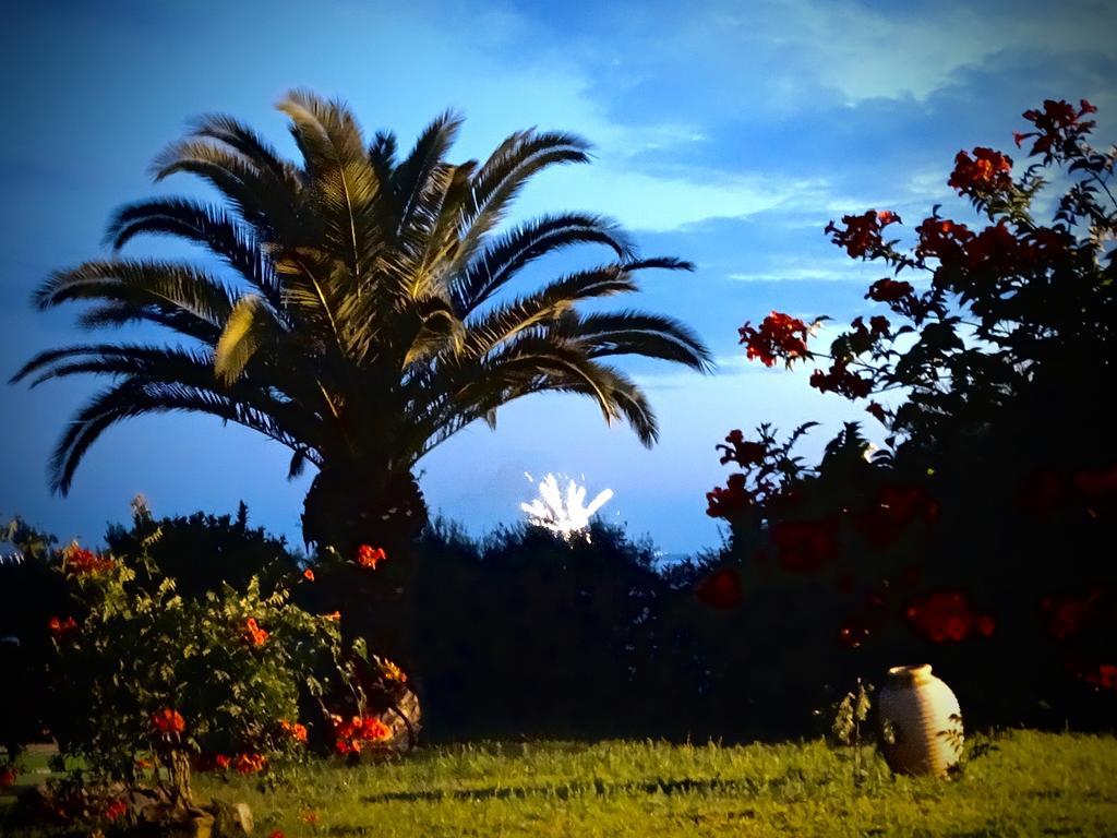 Apartments Karpetis A Green Paradise Psakoudia Chambre photo